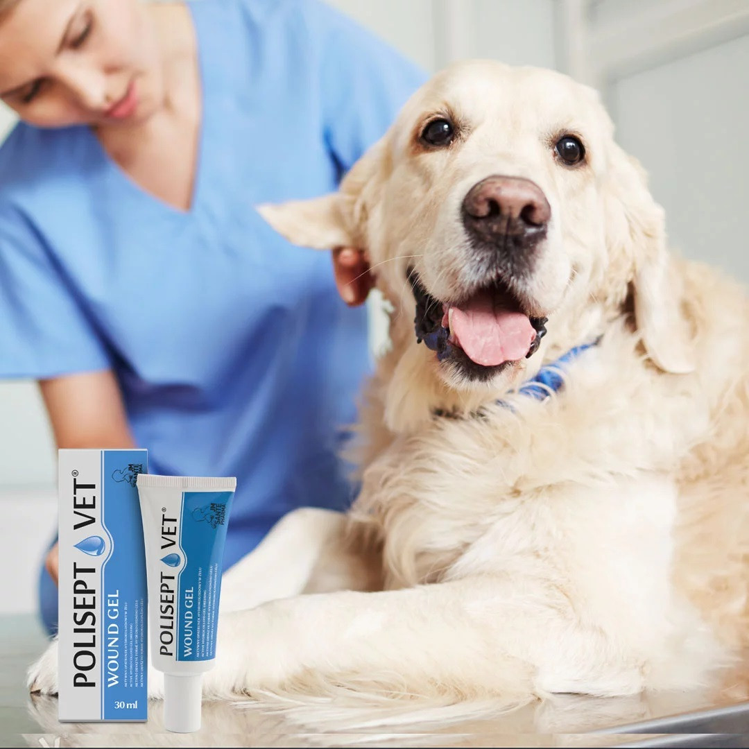 JM SANTE Polisept Vet Wound gel - gelový obvaz pro psy a kočky – 30 ml - foto 1