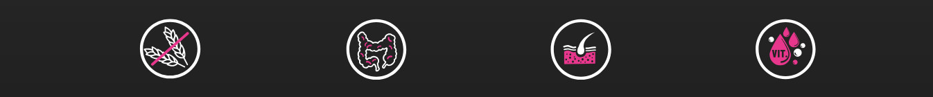 BIOFEED Tasty Dogs Life Pork - vlhké krmivo pro psy - 500g - foto 1