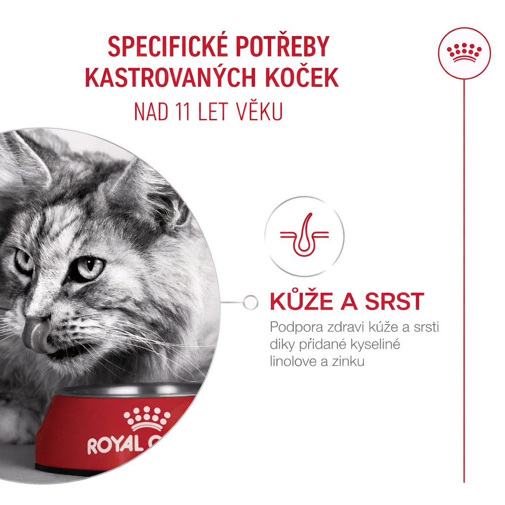ROYAL CANIN Ageing 11+ Sterilised - suché krmivo pro kočky - 4kg - foto 6