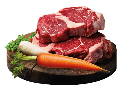 BIOFEED Tasty Dogs Life Beef - vlhké krmivo pro psy - 500g - foto 3