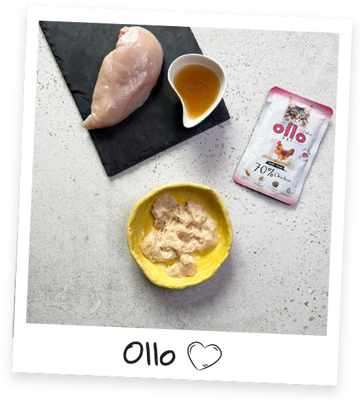 OLLO Cat No. 1 Chicken Mono - mokré krmivo pro kočky - 85g - foto 1