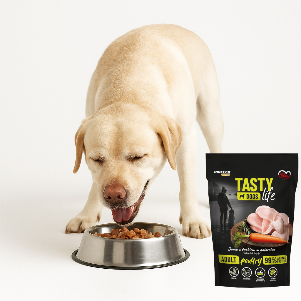 BIOFEED Tasty Dogs Life Poultry - vlhké krmivo pro psy - 500g - foto 5