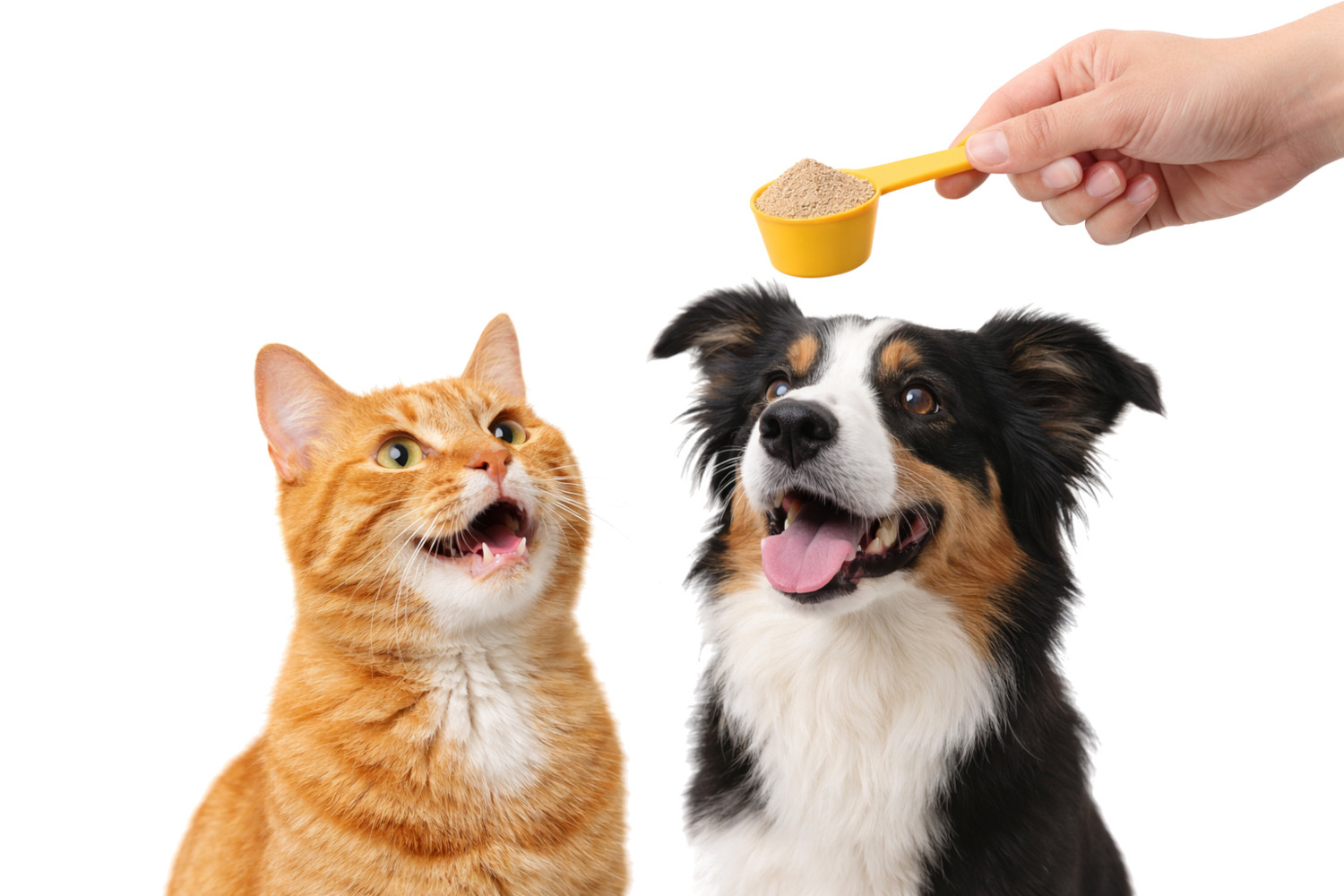 POKUSA RawDietLine Beta-Glucan - doplňky stravy pro psy a kočky - 250g - foto 5