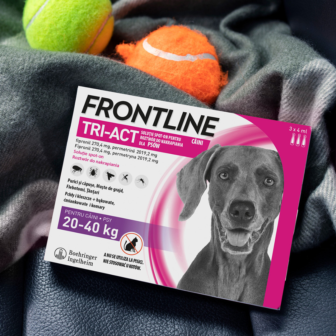 FRONTLINE Tri-act L 20-40 kg - Kapky proti parazitům pro psy - 3 x 4 ml - foto 3