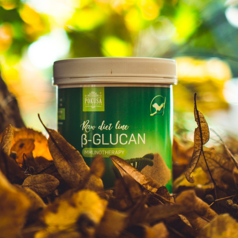 POKUSA RawDietLine Beta-Glucan - doplňky stravy pro psy a kočky - 250g - foto 3