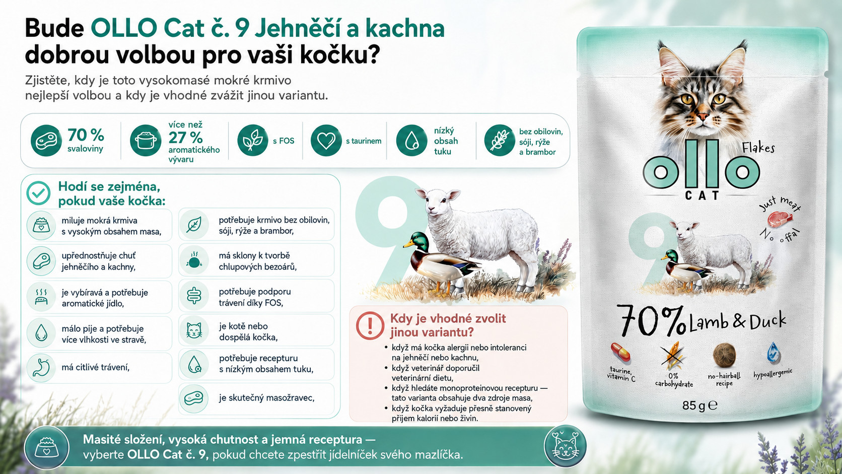 OLLO Cat No. 9 Lamb and duck - mokré krmivo pro kočky - 85g - foto 5