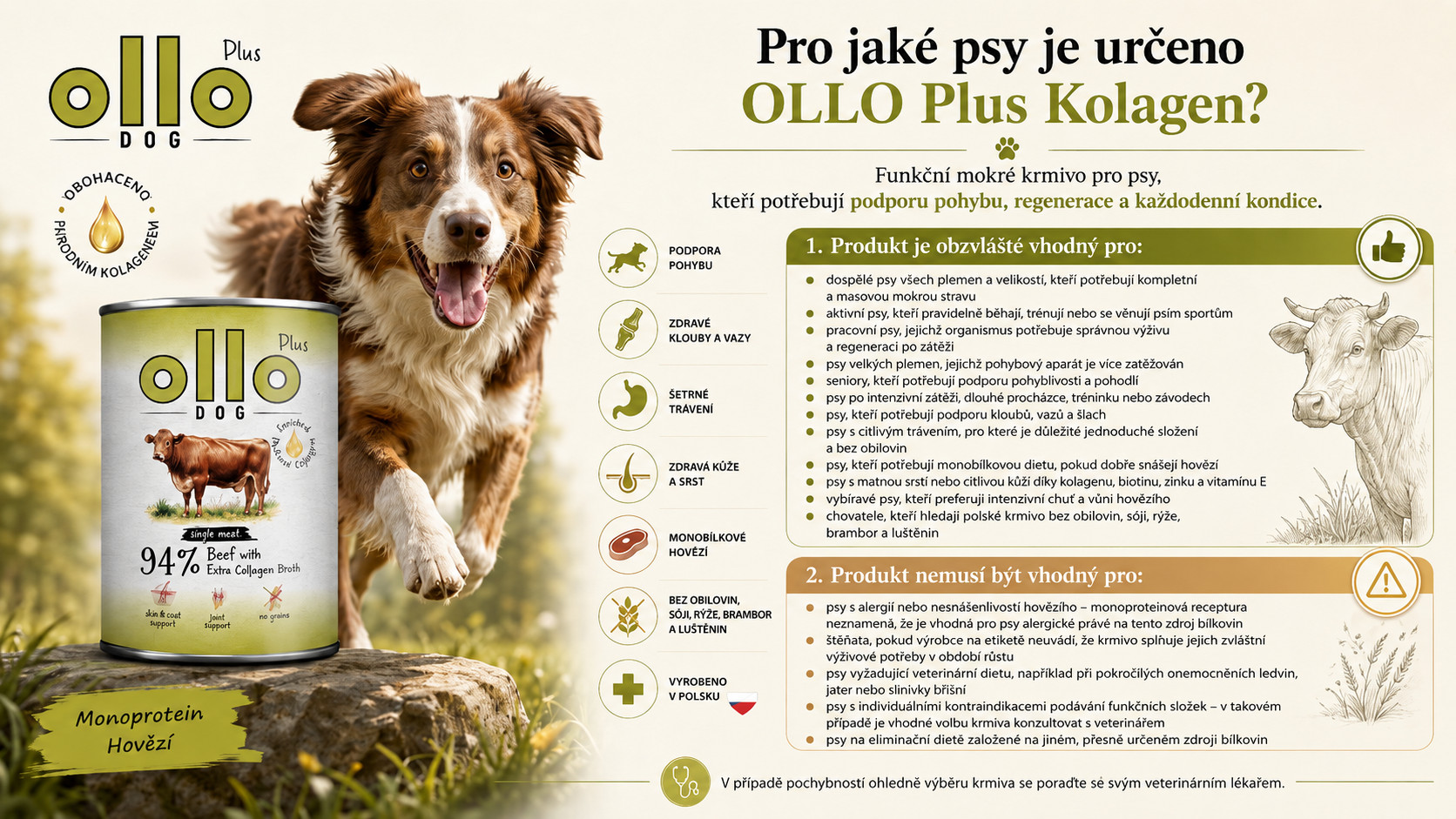 OLLO Plus Collagen Mono Beef - vlhké krmivo pro psy - 800g - foto 5
