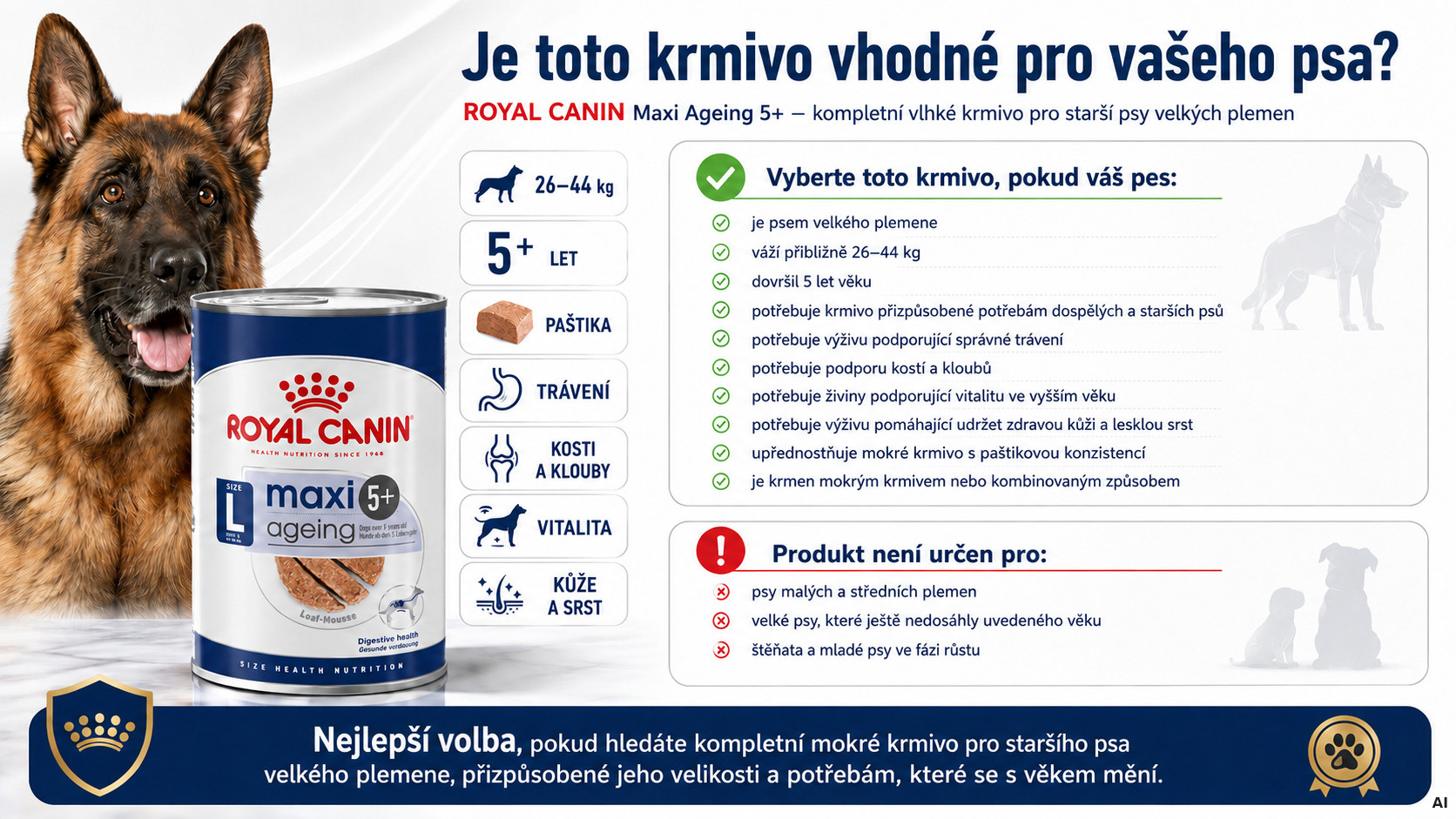 ROYAL CANIN Maxi Ageing 5+ mokré krmivo, paštika pro starší psy velkých plemen od 5 let věku. - foto 2