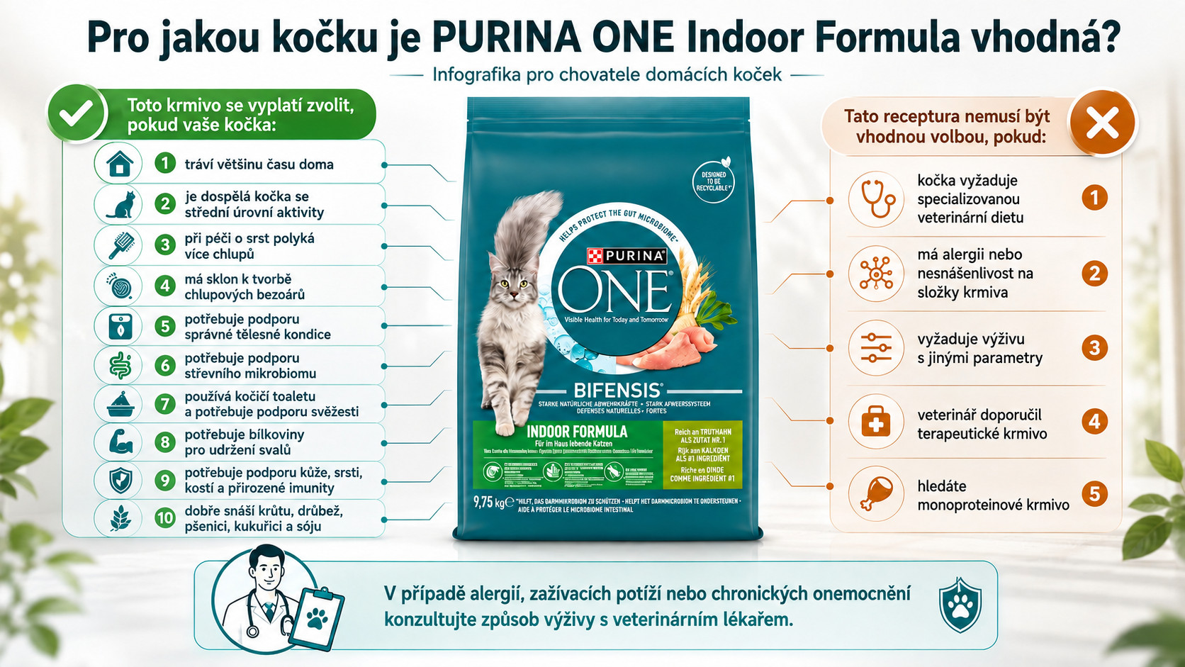 PURINA One Indoor Formula - suché krmivo pro kočky - 9,75kg - foto 2