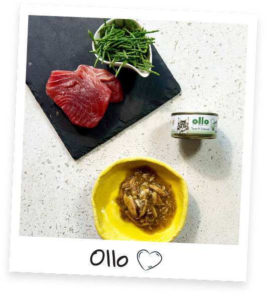 OLLO Cat nr 8 Tuna & Seaweed in broth - mokré krmivo pro kočky - 70g - foto 2