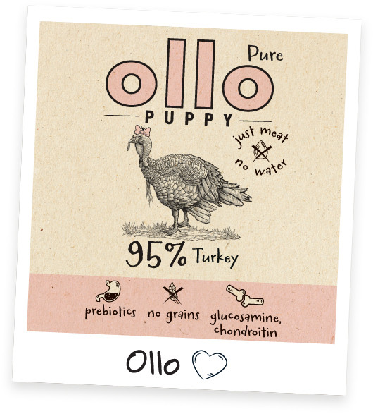 OLLO Puppy Pure Krůtí Mono - mokré krmivo pro psy - 850 g - foto 3