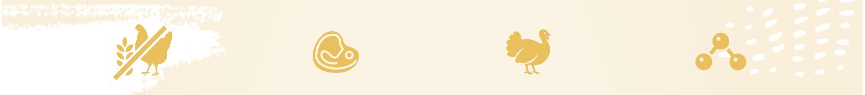 BIOFEED Euphoria Fresh Adult Turkey and lamb XS/S - suché krmivo pro psy - 500g - foto 1