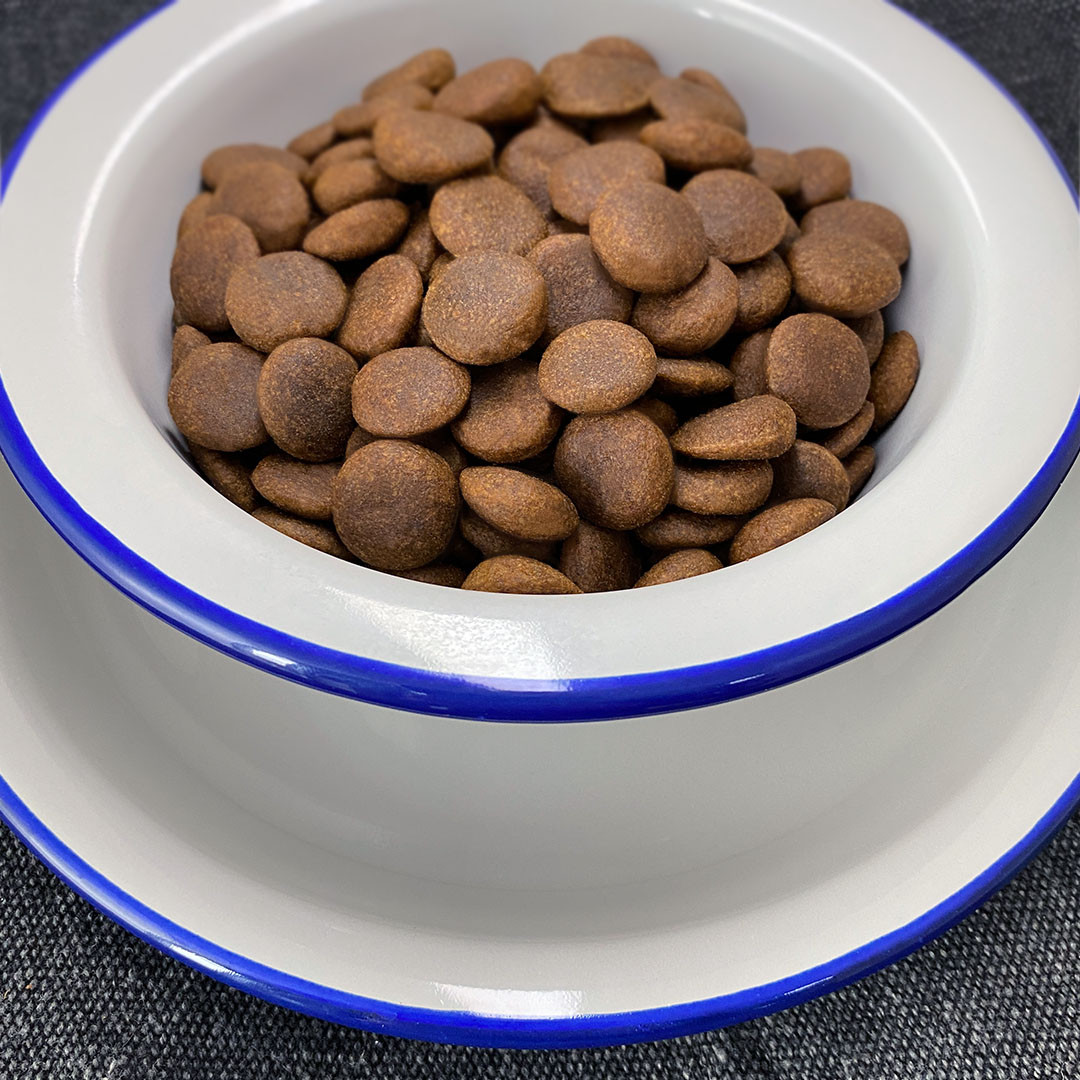 FOLK Medium and large breeds Kashubian-style fish specialty with apples, parsley and lovage - suché krmivo pro psy - 12kg - foto 2