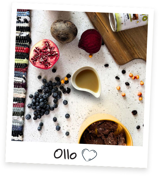 OLLO Plus Collagen Mono Beef - vlhké krmivo pro psy - 400g - foto 4