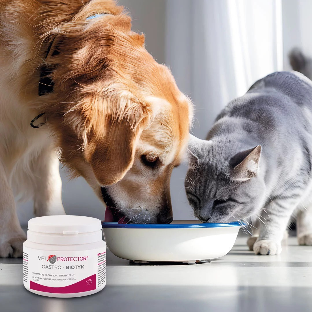 JM SANTE Vet Protector Gastro - Biotyk - multibiotik pro psy a kočky – 60 g - foto 1