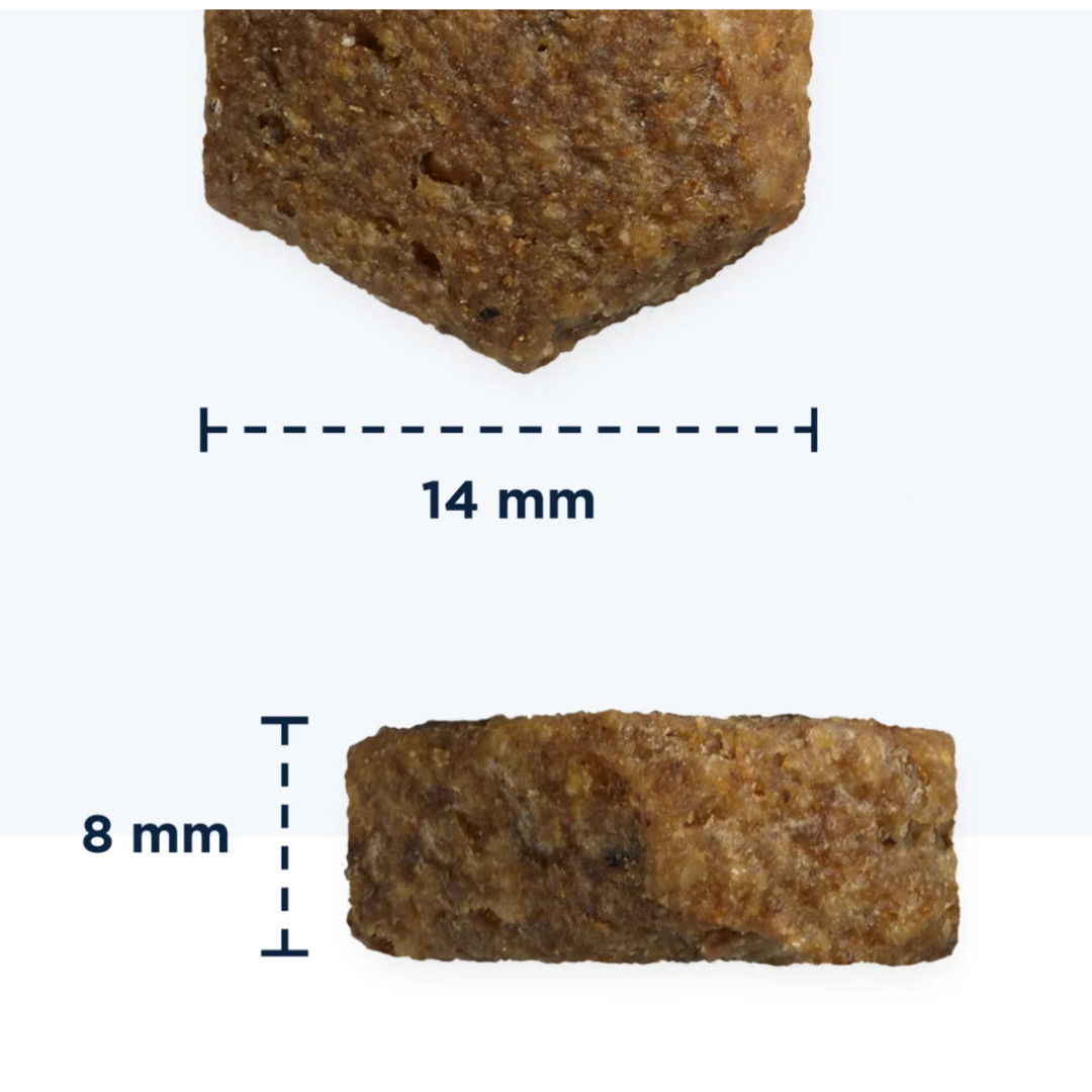 EUKANUBA Daily Care Adult Mono Protein Salmon - suché krmivo pro psy - 12 kg - foto 2