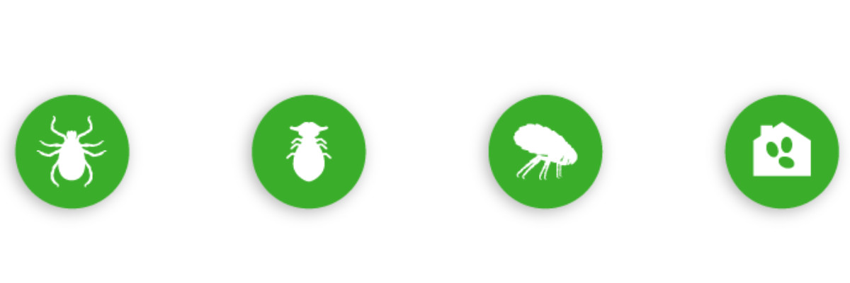 Frontline Combo Spot-on XL - kapky proti parazitům pro psy - 3 x 4,02 ml - foto 5