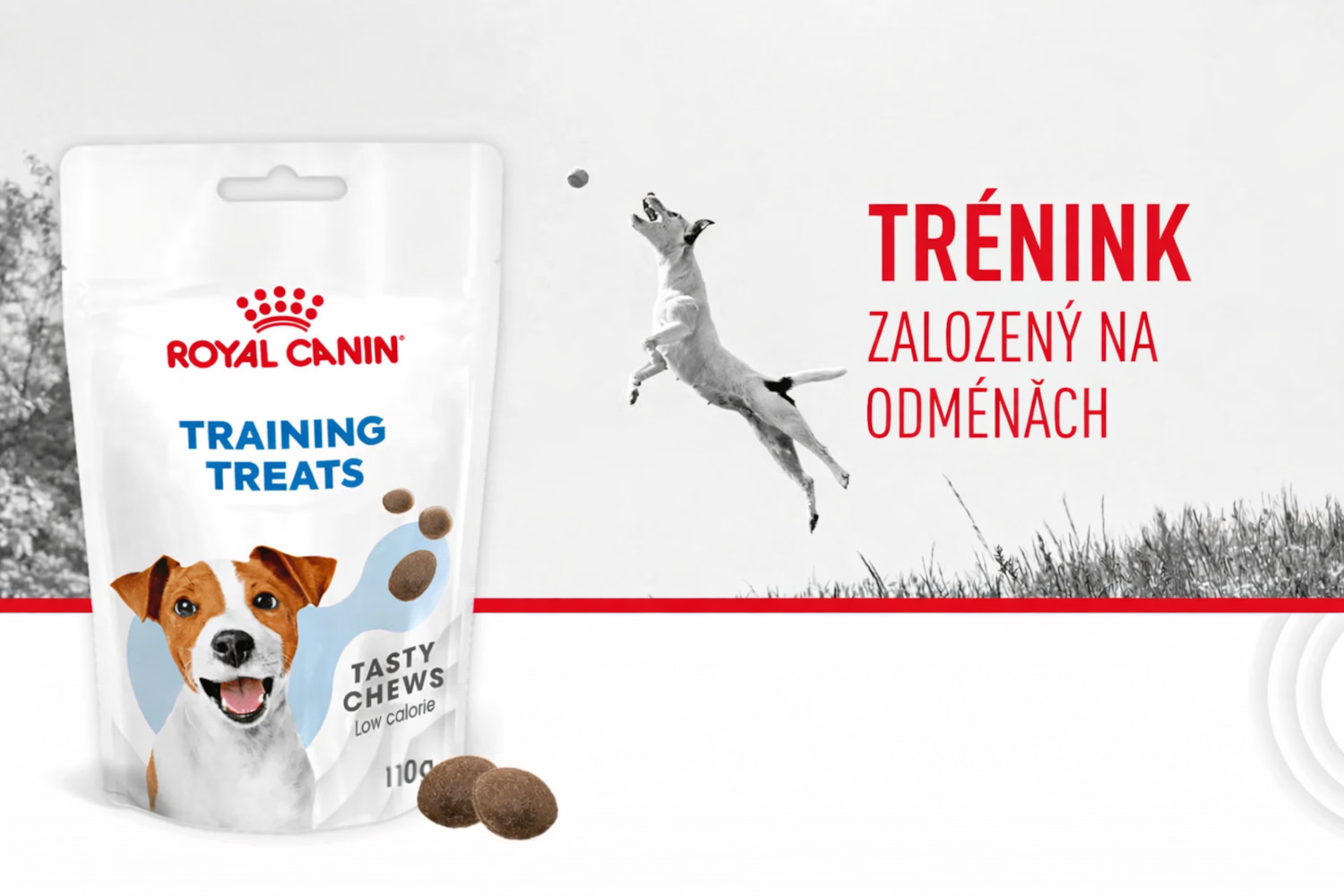 ROYAL CANIN Training Treats – pochoutka pro psy usnadňující proces výcviku - 110 g - foto 1