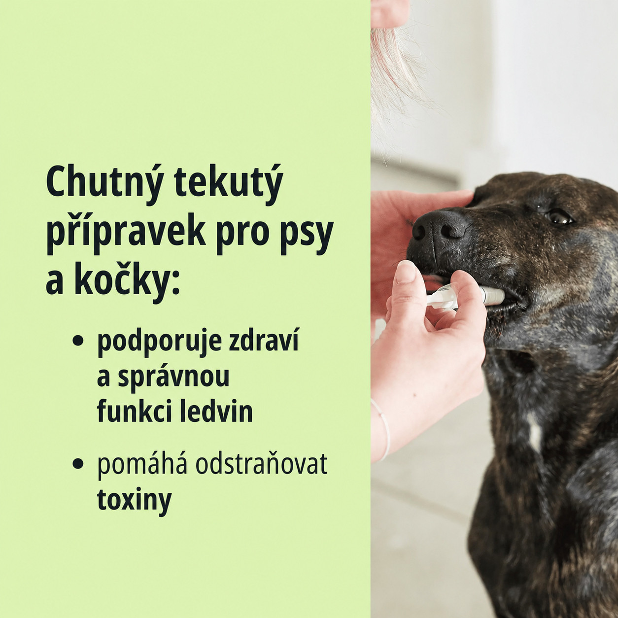 VIRBAC Pronefra Kidney support - doplňky stravy pro psy a kočky - 60ml - foto 1