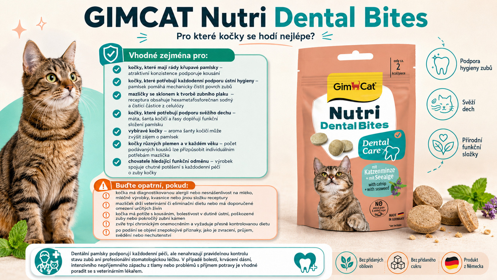 GIMCAT Nutri Dental Bites - pamlsek pro kočky - 40g - foto 2
