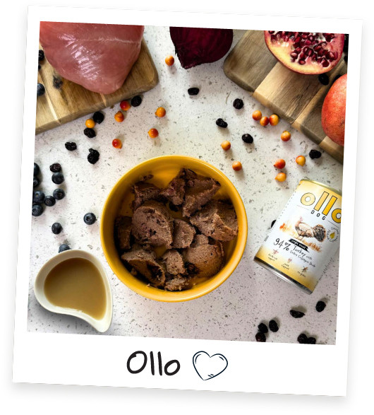 OLLO Plus Collagen Mono Turkey - vlhké krmivo pro psy - 400g - foto 2
