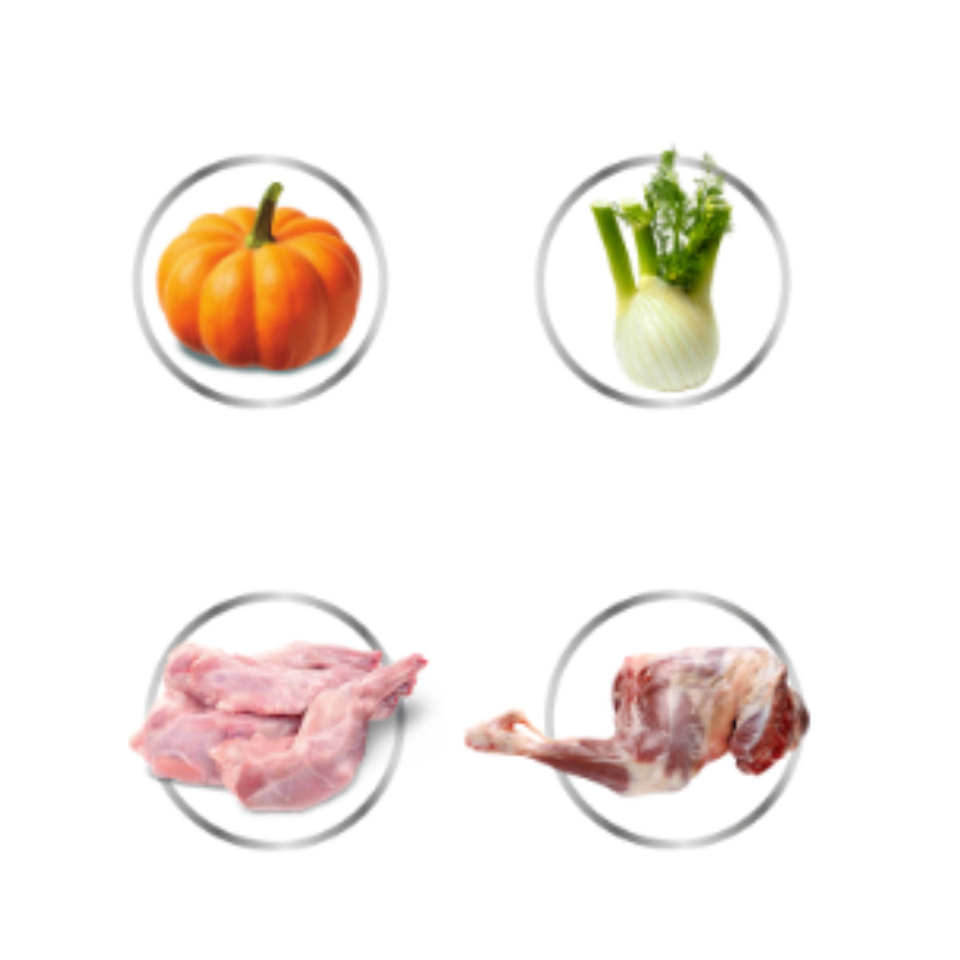 BALTICA Chutě regionů Štěně Kozí s králíkem - mokré krmivo pro psy - 12x400g - foto 2