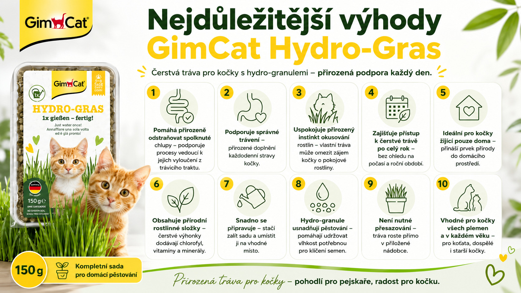 GIMCAT Hydro-Gras Tráva – pamlsek pro kočku – 150g - foto 1