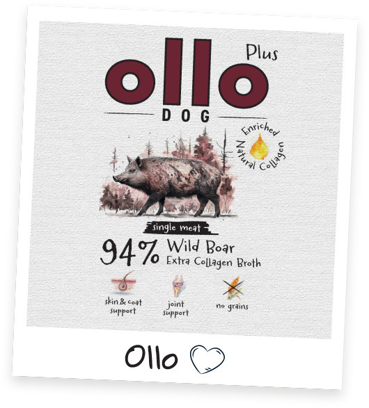 OLLO Plus Collagen Mono Wild boar - vlhké krmivo pro psy - 400g - foto 3