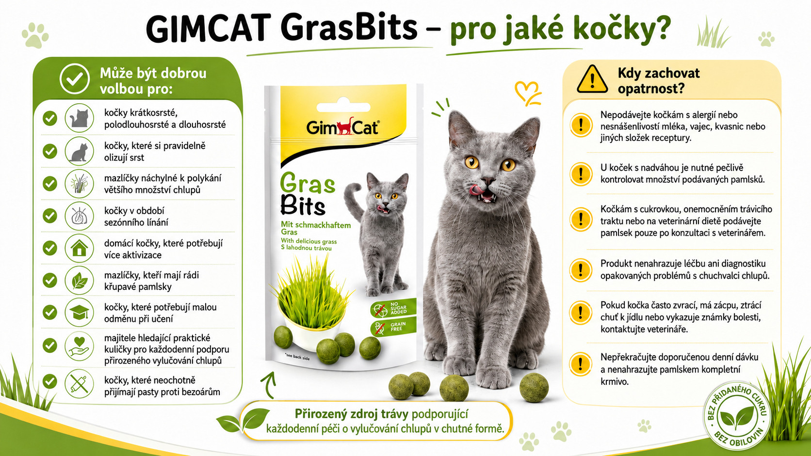 GIMCAT GrasBits Křupavé travní kousky – pamlsek pro kočku – 40g - foto 2