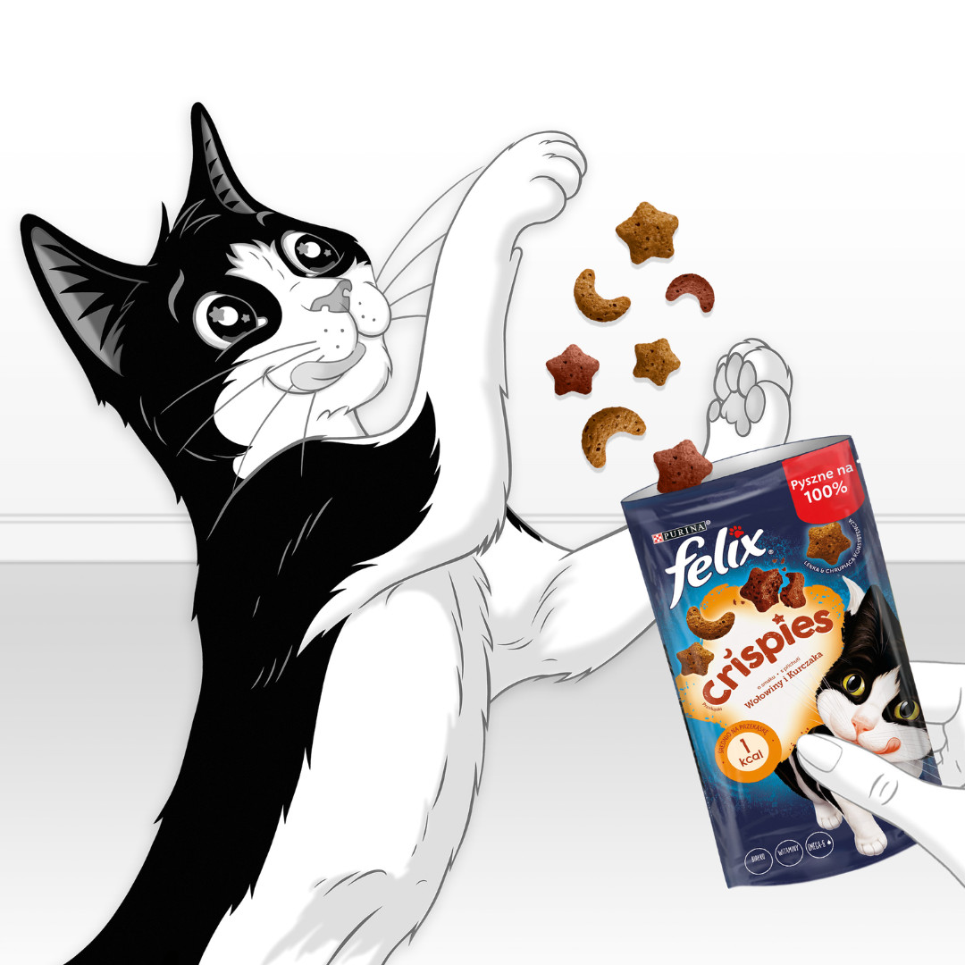 FELIX Crispies Beef, Chicken - suché krmivo pro kočky - 45 g - foto 3