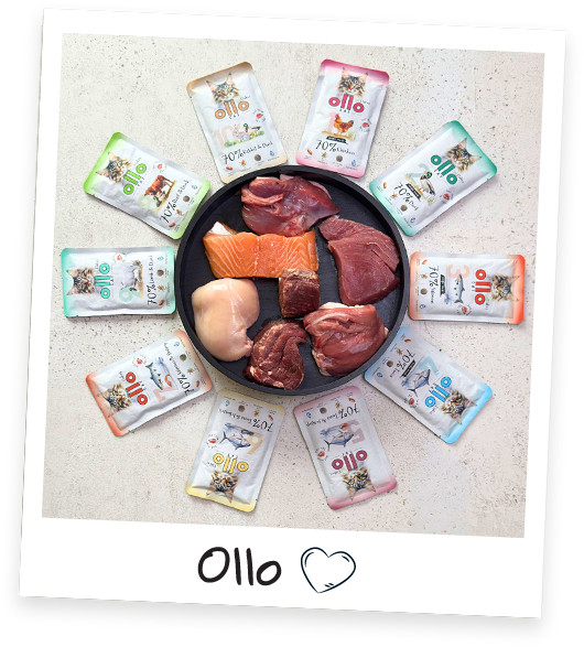 OLLO Cat No. 4 Tuna Mono - mokré krmivo pro kočky - 85g - foto 4