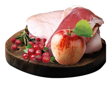 BIOFEED Tasty Dogs Life Duck - vlhké krmivo pro psy - 150g - foto 2