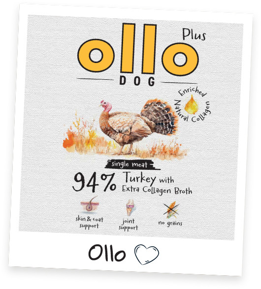 OLLO Plus Collagen Mono Turkey - vlhké krmivo pro psy - 400g - foto 3