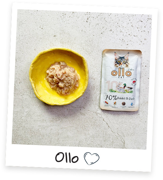 OLLO Cat No. 10 Rabbit and duck - mokré krmivo pro kočky - 85g - foto 6