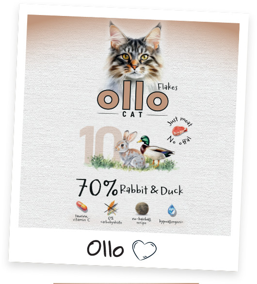 OLLO Cat No. 10 Rabbit and duck - mokré krmivo pro kočky - 85g - foto 7