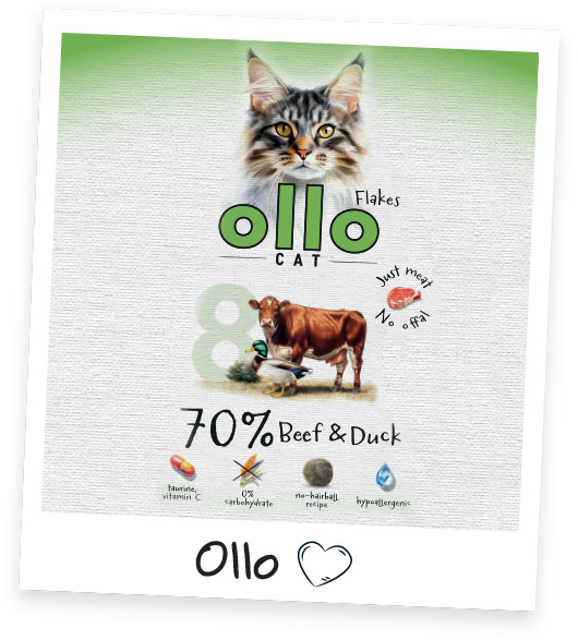 OLLO Cat No. 8 Beef and duck - mokré krmivo pro kočky - 85g - foto 7