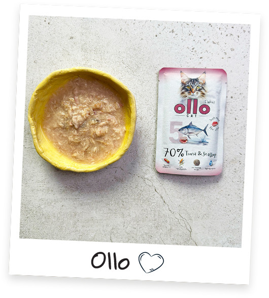 OLLO Cat No. 5 Tuna and scallop - mokré krmivo pro kočky - 85g - foto 6