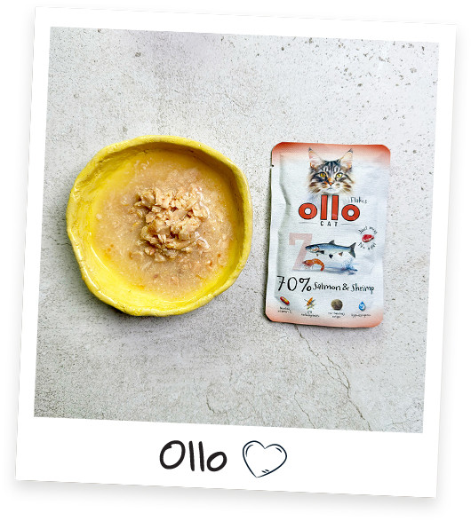 OLLO Cat No. 7 Salmon and shrimp - mokré krmivo pro kočky - 85g - foto 6