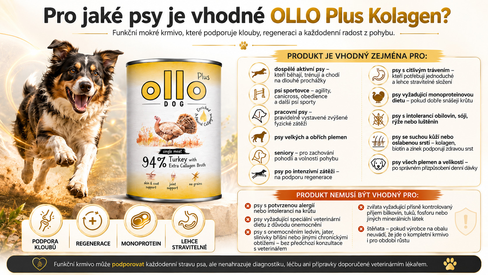 OLLO Plus Collagen Mono Turkey - vlhké krmivo pro psy - 800g - foto 5