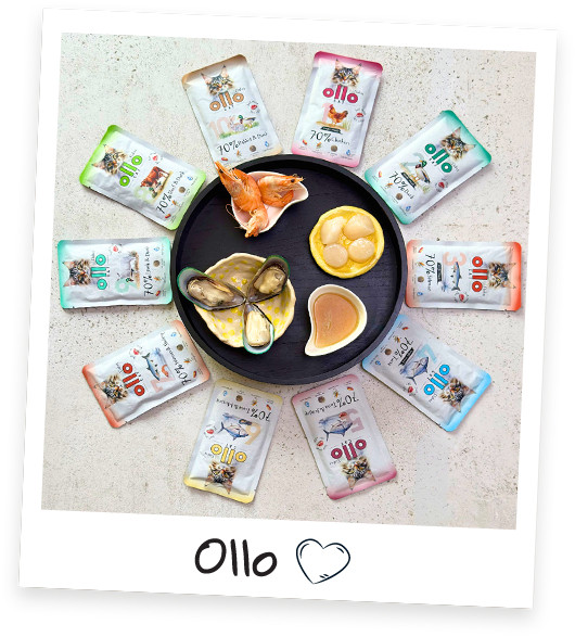 OLLO Cat No. 1 Chicken Mono - mokré krmivo pro kočky - 85g - foto 6