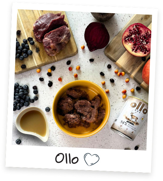 OLLO Plus Collagen Mono Deer - vlhké krmivo pro psy - 400g - foto 4