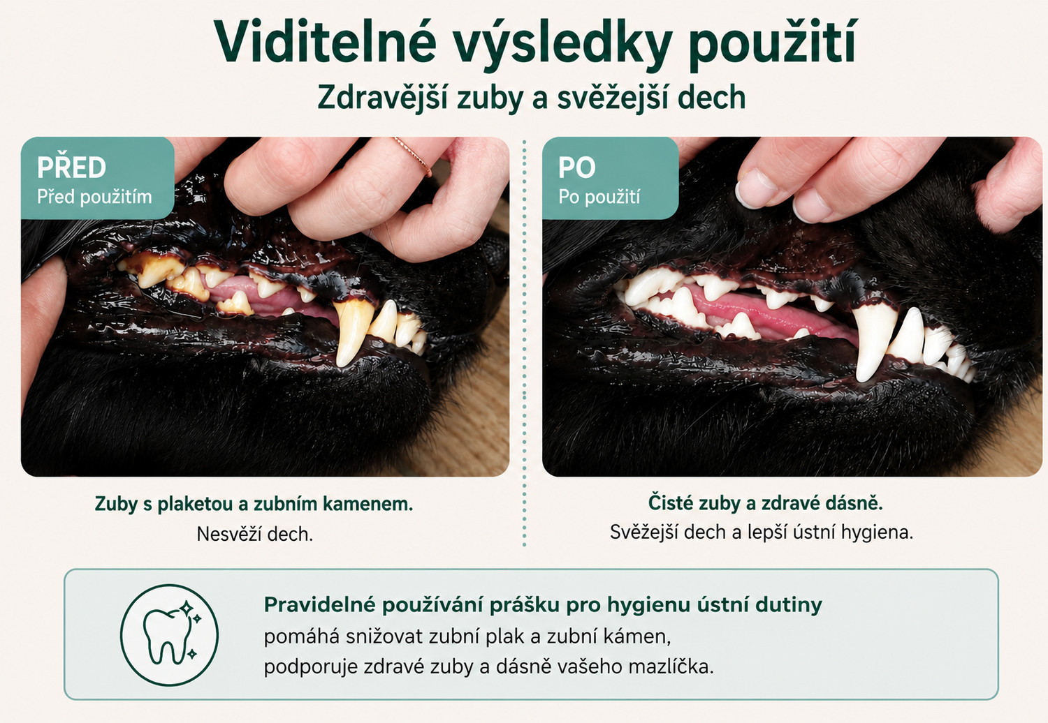 ANIFORTE prášek na hygienu dutiny ústní pro psy a kočky - 80 g - foto 4