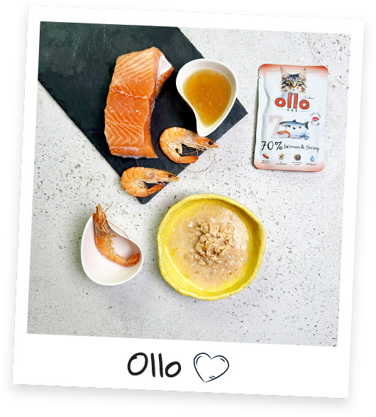 OLLO Cat No. 7 Salmon and shrimp - mokré krmivo pro kočky - 85g - foto 2