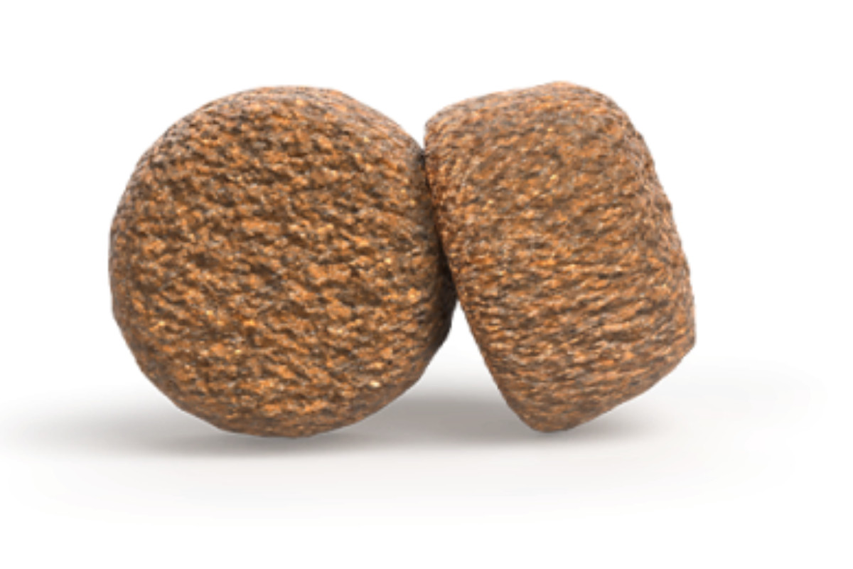 JOSERA Senior Balance - suché krmivo pro psy - 900 g - foto 2