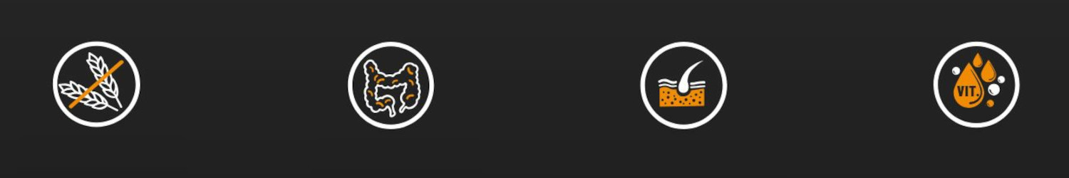 BIOFEED Tasty Dogs Life Junior Duck - vlhké krmivo pro psy - 500g - foto 1