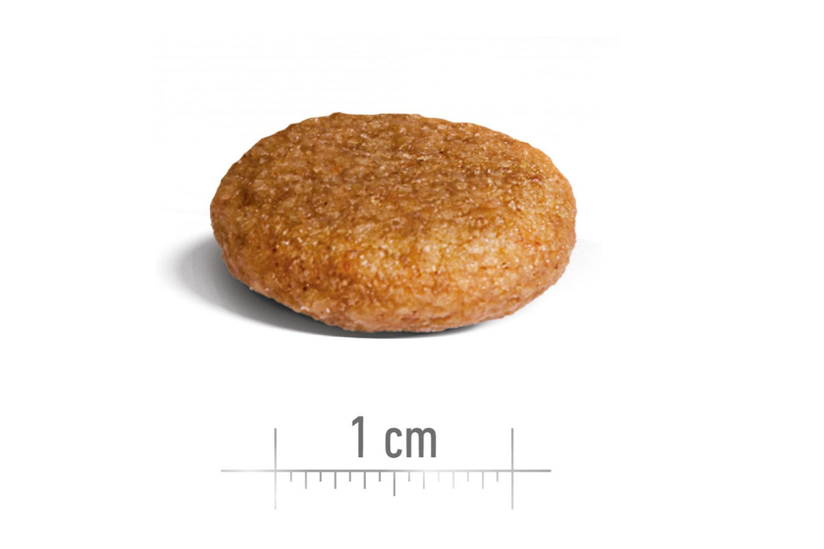 ROYAL CANIN SHN Medium Adult - suché krmivo pro psy - 15kg - foto 2