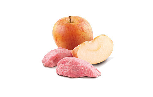 FARMINA N&D Prime Boar & Apple - vlhké krmivo pro kočky - 70 g - foto 3