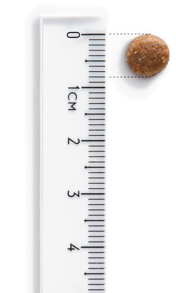 JOHN DOG Good Form Adult Chicken with beef - suché krmivo pro psy - 12 kg - foto 2