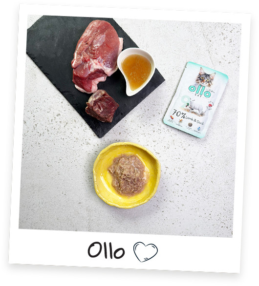 OLLO Cat No. 9 Lamb and duck - mokré krmivo pro kočky - 85g - foto 2