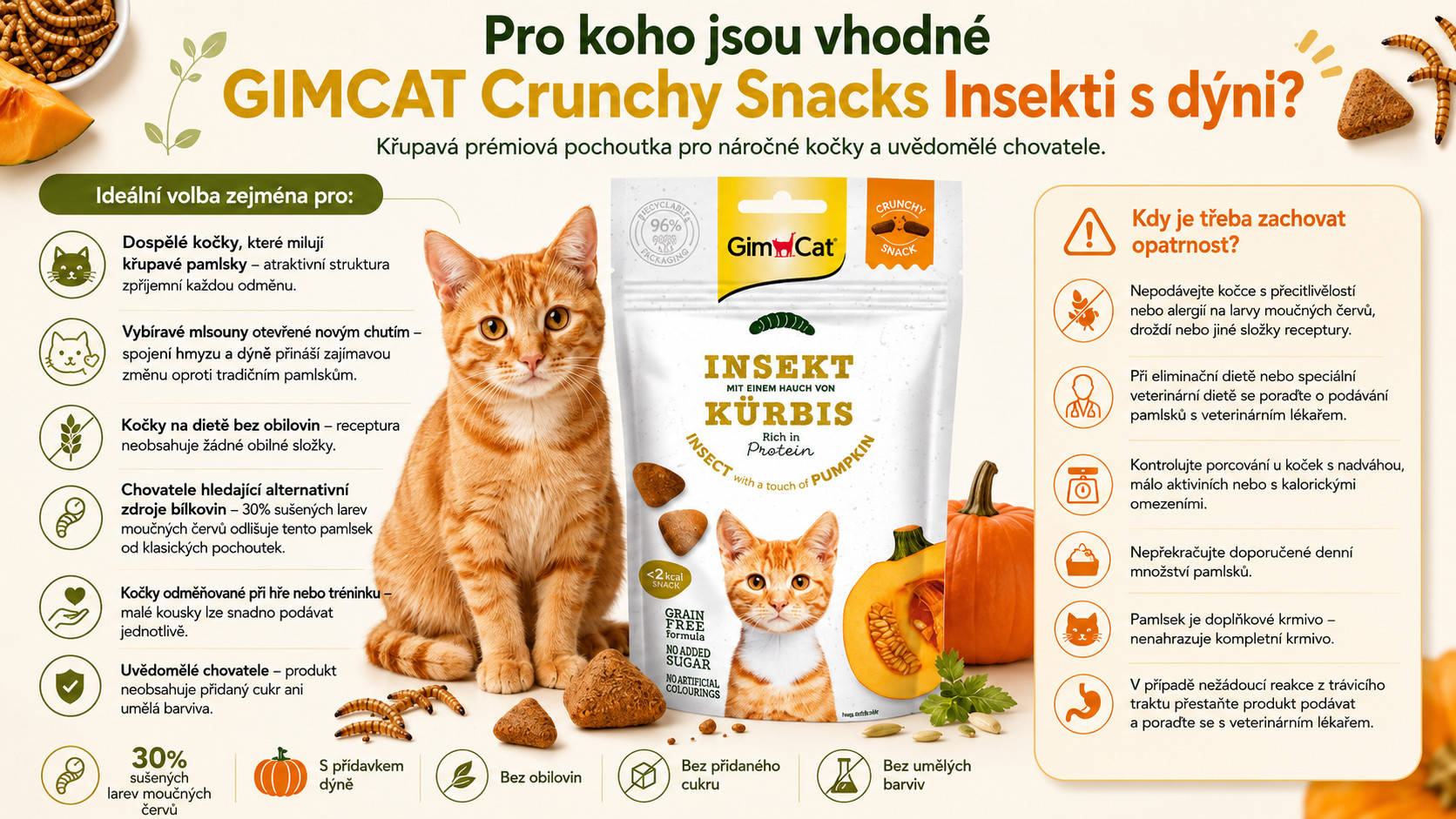 GIMCAT Crunchy Snacks Insect with pumpkin - pamlsek pro kočky - 50g - foto 2